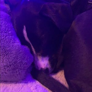 Meet your Posher, Bryce